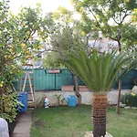 Alojamento de Acomodação e Pequeno-almoço Lilla Inclusa E Bici Gratuite A Con Terrazzo E Colazione Inclusa San Benedetto del Tronto