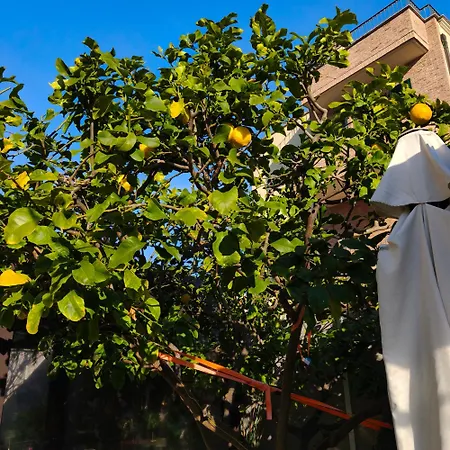 Lilla Inclusa E Bici Gratuite A Con Terrazzo E Colazione Inclusa Panzió