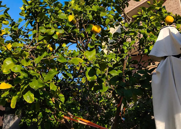 Lilla Inclusa E Bici Gratuite A Con Terrazzo E Colazione Inclusa Panzió