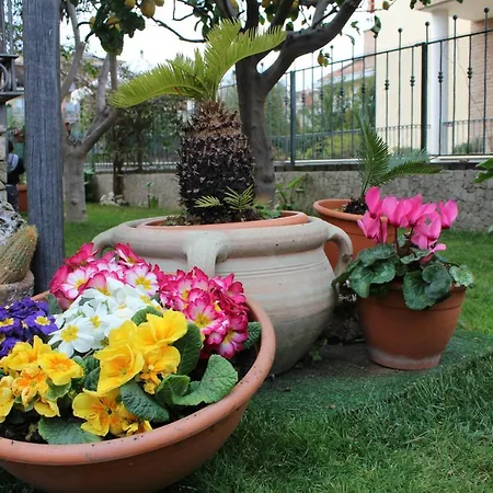 Bed & Breakfast Lilla 4*