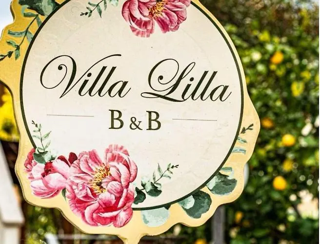 Lilla Inclusa E Bici Gratuite A Con Terrazzo E Colazione Inclusa Σαν Μπενεντέτο ντελ Τρόντο