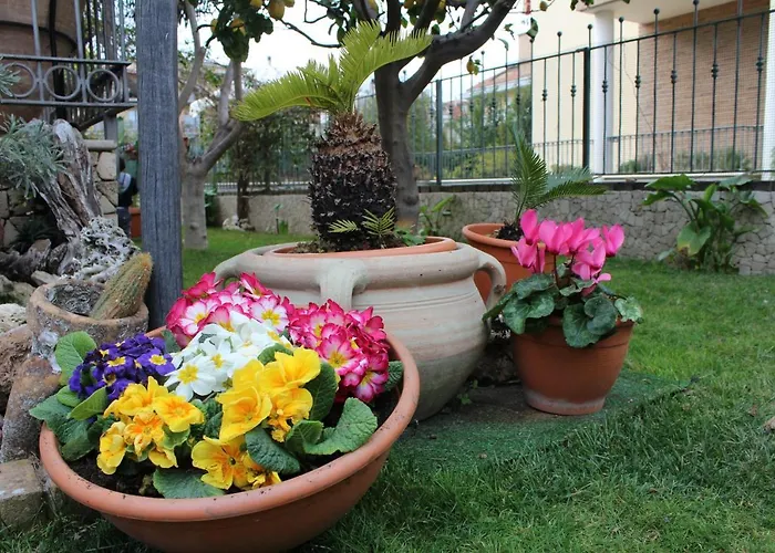 Bed and Breakfast Lilla Inclusa E Bici Gratuite A Con Terrazzo E Colazione Inclusa 4*