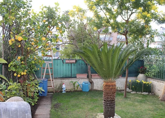 Bed and Breakfast Lilla Inclusa E Bici Gratuite A Con Terrazzo E Colazione Inclusa Σαν Μπενεντέτο ντελ Τρόντο